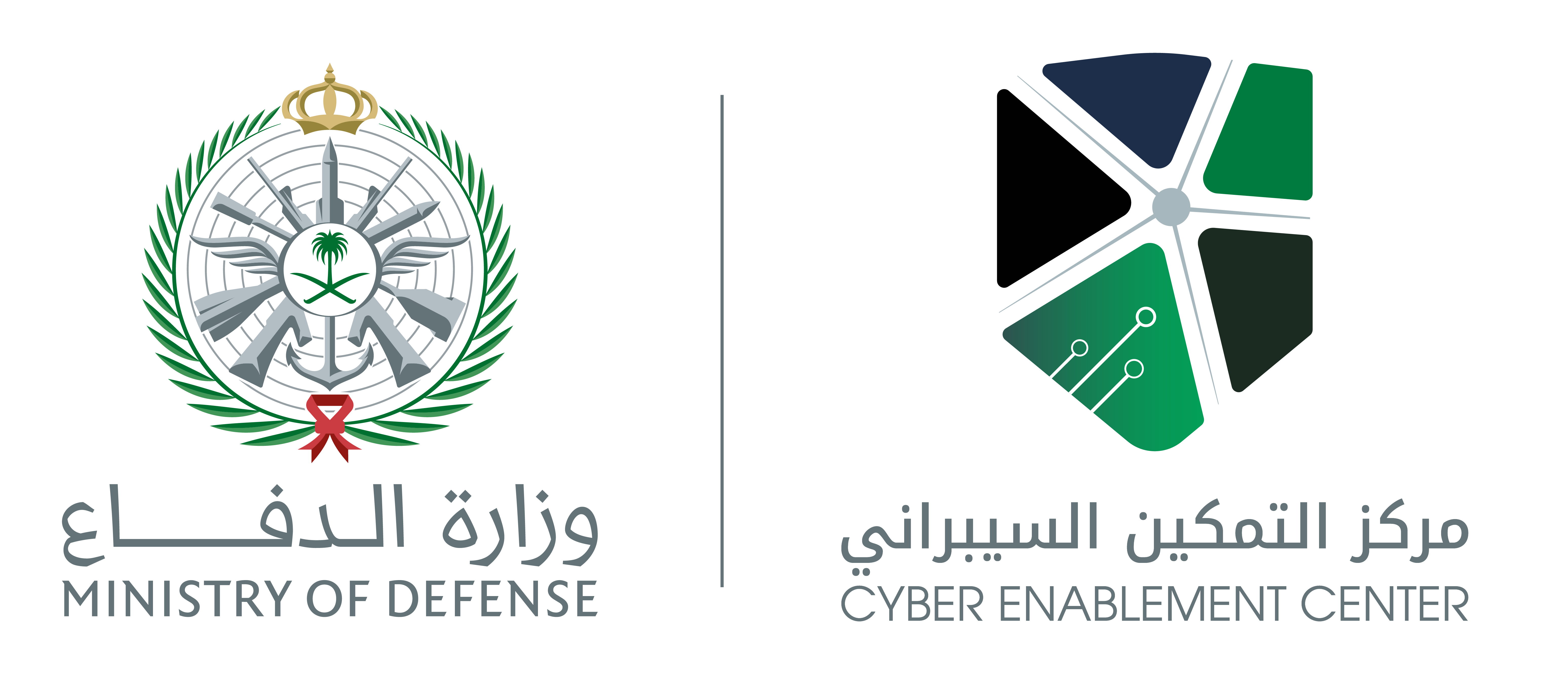 Cyber Academy